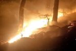 شعله ور شدن مجدد حریق در ۳۰ هکتار از اراضی جنگلی رودبار | آمادگی بالگرد اطفا