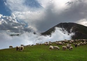 مدل های هواشناسی گیلان بومی سازی می شود | افزایش کانون های گرد و غبار