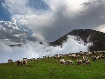 مدل های هواشناسی گیلان بومی سازی می شود | افزایش کانون های گرد و غبار