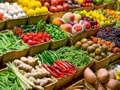سامانه خودحفاظ هسته ای برای محصولات کشاورزی گیلان راه اندازی می شود