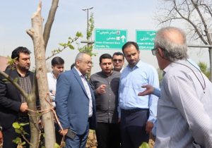 از کاشت ۳۶۰ اصله درخت بومی انجیلی در جاده تهران تا پیشرفت ۹۰ درصدی لوله‌گذاری هدایت آبهای سطحی