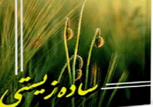 تجمل‌پرستی؛ زرق و برق فریبنده | سادگی؛ شکوه فراموش‌شده