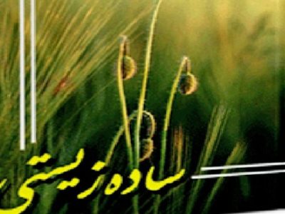 تجمل‌پرستی؛ زرق و برق فریبنده | سادگی؛ شکوه فراموش‌شده