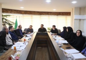 ارایه مشوق های جدید برای سرمایه گذاری در محلات مختلف رشت