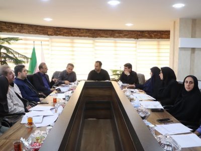 ارایه مشوق های جدید برای سرمایه گذاری در محلات مختلف رشت