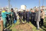 کاشت درختان بومی در سطح شهر رشت همزمان با هفته منابع طبیعی