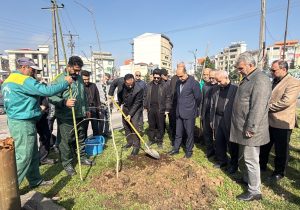 کاشت درختان بومی در سطح شهر رشت همزمان با هفته منابع طبیعی