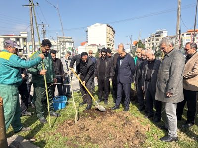 کاشت درختان بومی در سطح شهر رشت همزمان با هفته منابع طبیعی