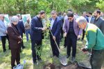 کاشت نهال امید به مناسبت اربعین امام شهید در رشت