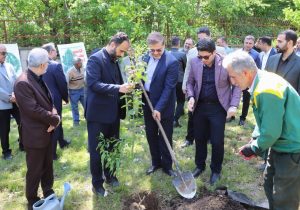 کاشت نهال امید به مناسبت اربعین امام شهید در رشت