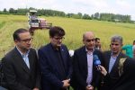 نخستین برداشت مکانیزه برنج استان گیلان در فومن